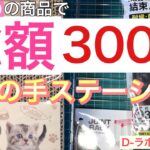 【便利グッズ】DAISO 商品で 総額300円の ネコの手ステーション づくり【100均】