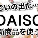 【100均】速報！売り切れ必至のDAISOダイソー新商品♡【LED時計/便利/マグネット収納/キッチン/掃除/料理/コスメ/秋冬/】