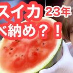 🍉スイカ切り『便利グッズ発見！』したよ🍉