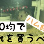 ＃３６【100均】で買えるハムスター飼育グッズ代用品、便利アイテム