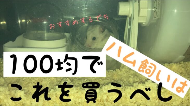 ＃３６【100均】で買えるハムスター飼育グッズ代用品、便利アイテム