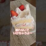 マムの裏ワザ，ケーキ保存! #shorts #簡単 #収納