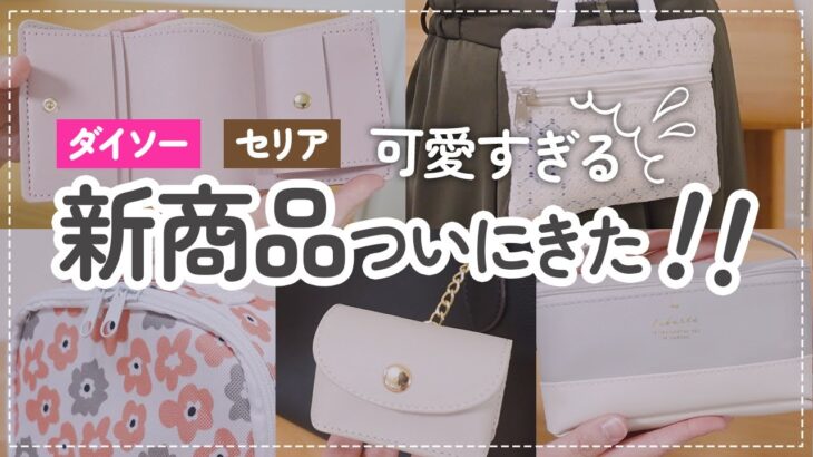 【100均】新商品ついにきた！ダイソー&セリアの可愛すぎるポーチ収納 | 財布 etc