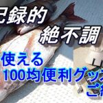 記録的絶不調　100均便利グッズご紹介