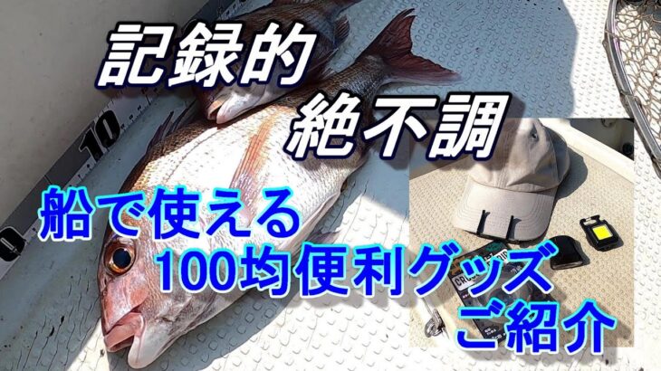 記録的絶不調　100均便利グッズご紹介