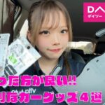 【100均】絶対あった方がいい!!ダイソーの便利なカーグッズ４選！！