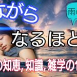 【睡眠導入】寝ながら聞ける生活の知恵・知識・雑学・BGMの 1時間【寝落ち】【爆睡】【ASMR】【リラックス】【リラクゼーション】【BGM】【自然音】【疲労回復】