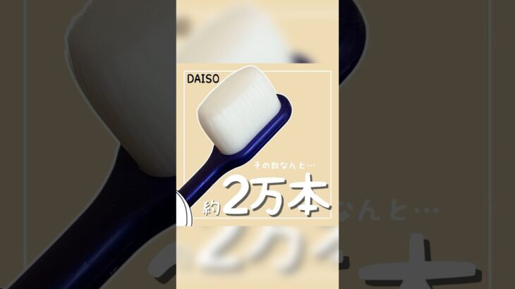 【ダイソー】 問題。コレはなんでしょう？#ダイソー #ダイソー購入品 #daiso #100均 #100円ショップ #shorts