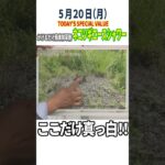 【便利グッズ紹介】 かけるだけ！簡単除草剤/QVCジャパン