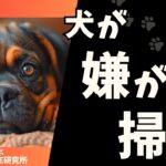 犬が嫌がる掃除のやり方