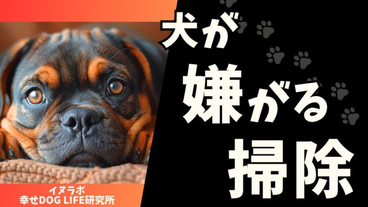 犬が嫌がる掃除のやり方