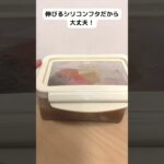 3COINS新商品！一個は持っておきときたい！　シリコーンタッパーただいまPCが壊れて動画編集が滞っています🙇もうしばらくお待ちください　#3コインズ #3coins #キッチン用品　#便利グッズ