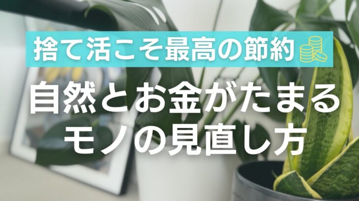 整理収納アドバイザーが伝授＼捨て活こそ最高の節約／自然とお金がたまるモノの見直し方#捨て活 #節約 #整理収納