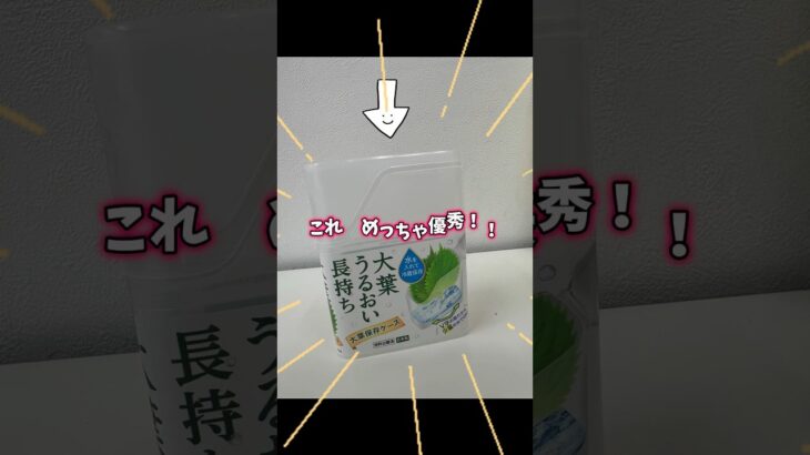 これめっちゃ優秀‼️ ちょっとした困ったを100均で解消‼️ 100円ショップ便利グッズ👍