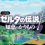 【ゼルダの伝説 知恵かり】#1｜ゼルダ姫様とカリモノ生活はじめます🪑🪜【生配信】