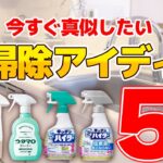 【目からウロコ】今すぐ真似したい絶対役立つ掃除アイデアベスト5！