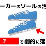 【暮らしの知恵】知らないと損する裏ワザと豆知識