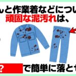 知らないと損する雑学【ライフハック術】【生活の知恵】