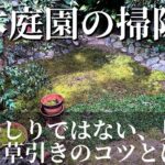 【日本庭園の清掃】初心者必見！知らなきゃ損！草むしりではない、見違える草引きのコツとは？