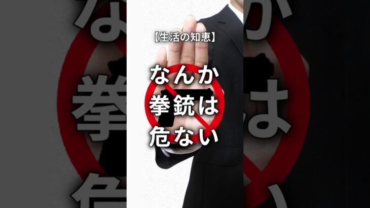 【生活の知恵】なんか拳銃は危ない