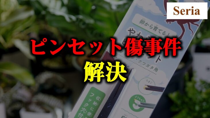 100均が超優秀！”あの害虫”に使えるグッズとオススメ園芸セット♪【多肉植物】