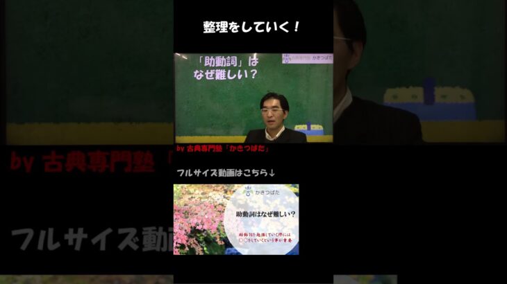 助動詞の数が多すぎる？27種類をどう整理する？【古典専門塾かきつばた】