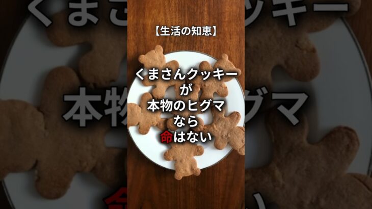 【生活の知恵】くまさんクッキーが本物のヒグマなら命はない